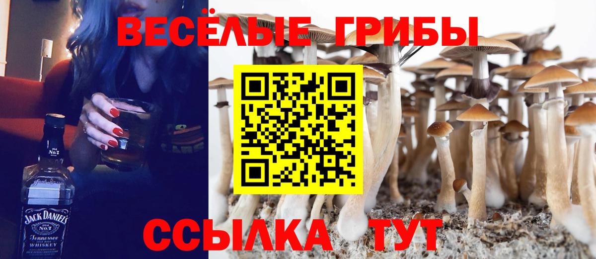 Долгопрудный  Псилоцибиновые грибы мухоморы  Псилоцибиновые грибы Magic Shrooms  Вход с VPN 
