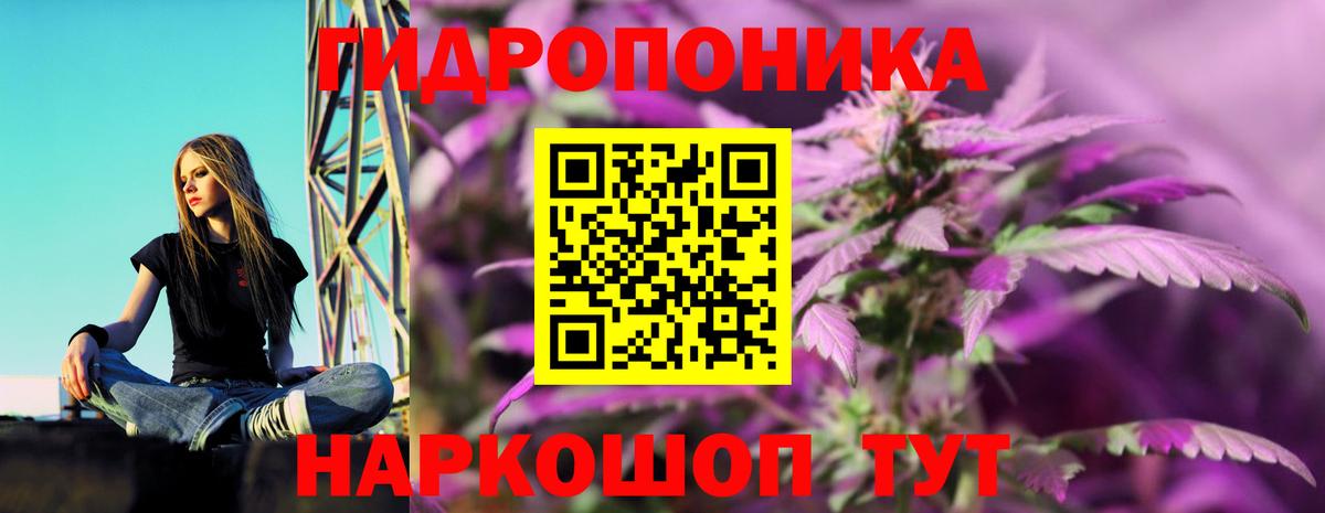 Конопля MAZAR Долгопрудный
